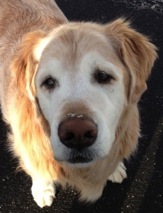 dbuchannon1's profile picture. Common-sense conservative & Christian cast adrift in the bluest of blue states. All my opinions are my own. #TCOT #ISREAL #TEAPARTY