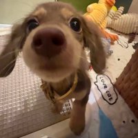 Ieglarouce (@ieglarouce7161) 's Twitter Profile