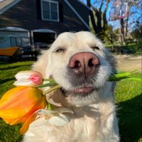 Aderup (@aderup285468) 's Twitter Profile
