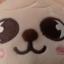 Tomada Amarelaさんのプロフィール画像