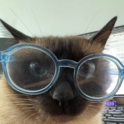 rick6566's profile picture. xp每天更新