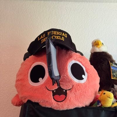 ElMileistaOk's profile picture. Soldado de las fuerzas del cielo