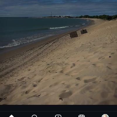 Romario16744981's profile picture. 