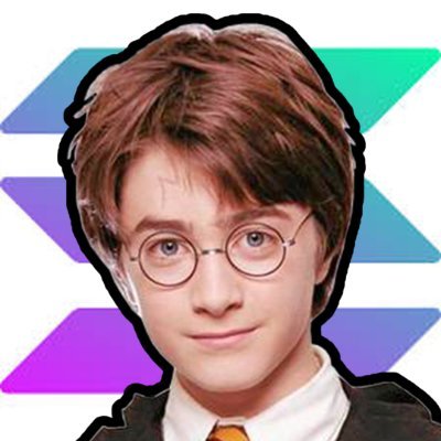 SolSniping1337's profile picture. 