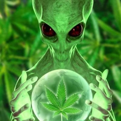 ArielMe25071796's profile picture. 