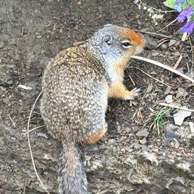 friedman_l60919's profile picture. Living in a world of lies and propaganda is not the only way to live.  turn off the screens and demand truth.