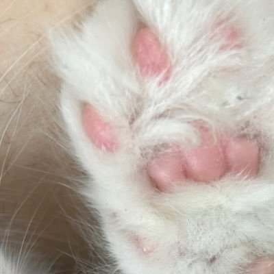 4inlovewithme's profile picture. 純粹多嘢講