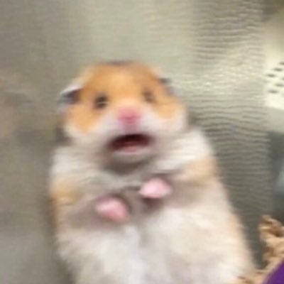 1988sssssss's profile picture. .