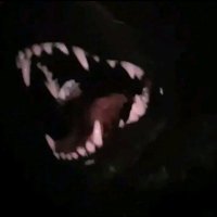 the moon the shimmers off the river (@lycanthropy__) 's Twitter Profile