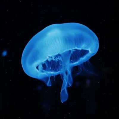 yuki7321478's profile picture. 