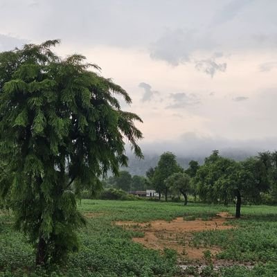 Himanshu Jangid