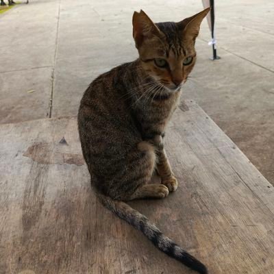 mkenzie1608's profile picture. Cari Hiburan untuk Kehidupan