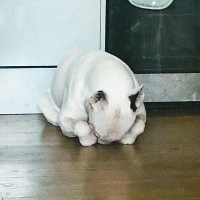 girlkisser789's profile picture. 21 || minors dni || wlw || pro retweeter