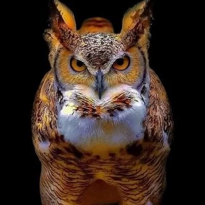 zabette76's profile picture. Aiguilleuse normande un peu 🤪 sur les bords!!