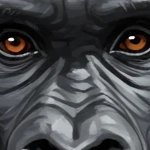 tomato_miseruna's profile picture. 