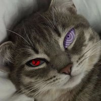 Moon (@mrmoon_99) Twitter profile photo