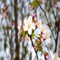 EmmaGrant233337's profile picture. Energetic. Love rock climbing, online courses. Working In Cybersecurity For Fortune 500 Companies.