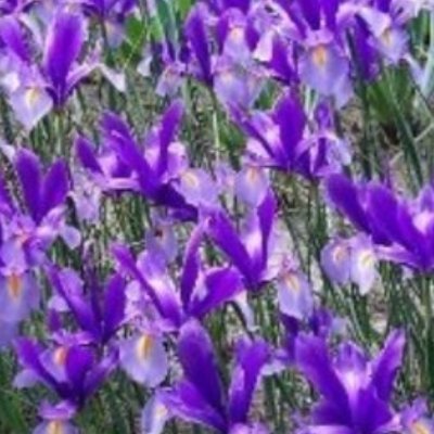 asensio_cal's profile picture. Hace tiempo que para juzgar a los demás solo tengo en cuenta si me convierten en mejor persona. Clarissa. Stefan Zweig