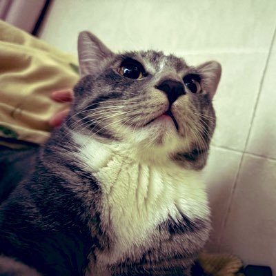 karkanini9's profile picture. front-end 独立开发做 https://t.co/QoTKzKmoIp 站点已上线：AI 手办&签名生成｜积分支付已上线 真诚活跃，长期主义；吐槽、引用、互关、活跃 在战在报，搞钱 ing;