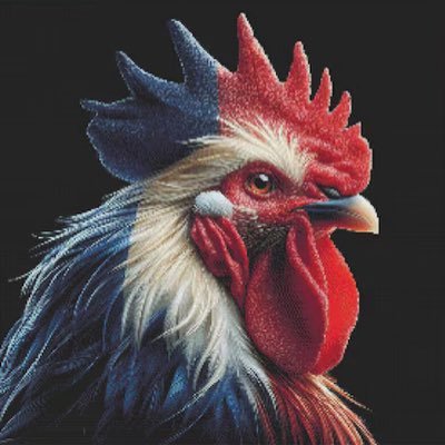 Pour une France laïque, une France juste, une France sûre, une France de droits ET de devoirs 🇫🇷