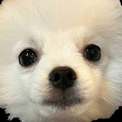 Kairi1220_Hxy's profile picture. ➸あにめとげーむとまんが【https://t.co/F8C5iEcHoH】