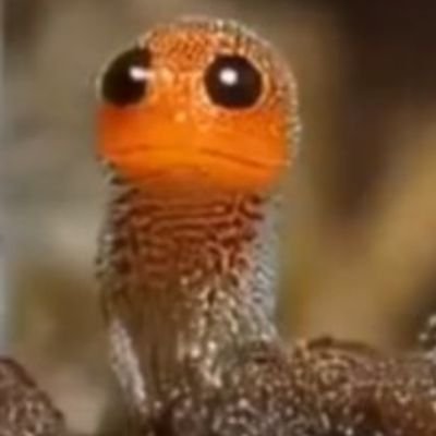 FairyFountain7's profile picture. INFP│NPD体験│見えない世界を追求中🧚‍♀🌈　闇側bot🤖除け🔑
DM・業者❌ サイコパス/NPD/闇側bot拒否 見つけ次第即ブロック🥦
闇側bot🤖撲滅バスター💥🔨
光の結界内のみ繋がります🕊 
心ある方と静かに交流希望🌿