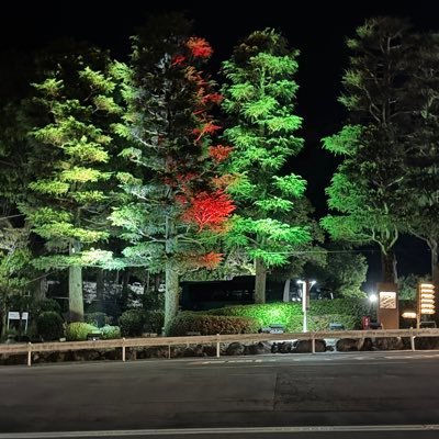 yuriusu_JPN1's profile picture. 初めての賭け事が競艇です。競艇予想してます！#競艇予想