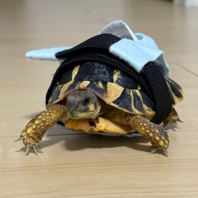 いちっさんのプロフィール画像