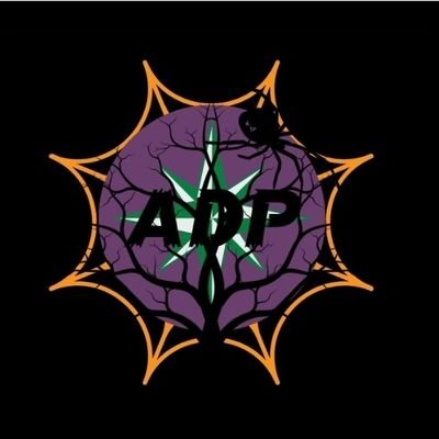 Hello and welcome to our channel Twitter account for Amusement Park Pirates where we cover Disneyland, Universal Studios Hollywood, and Knott's Berry Farm!
