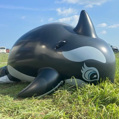 BB_y__love's profile picture. 空ビ