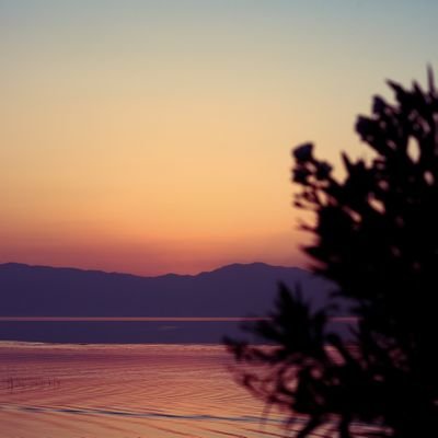 cc4r7rKt3EECw9F's profile picture. new business life