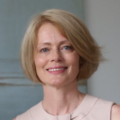 Director for United Nations and for Africa, Ministry for Foreign Affairs (on leave)