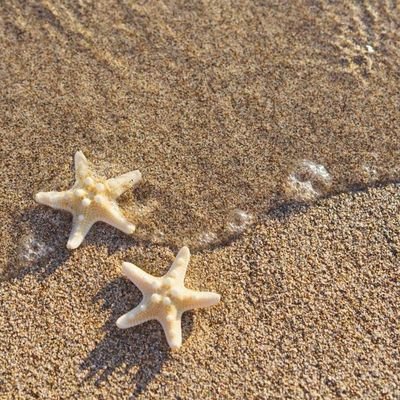 alwayssweee's profile picture. Kalau akun ini nakal tegur langsung atau bisa DM yaaa~