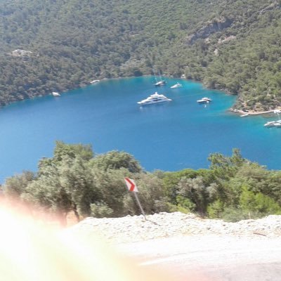 CEVACEVA267680's profile picture. 