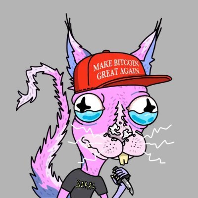 koz10082's profile picture. 