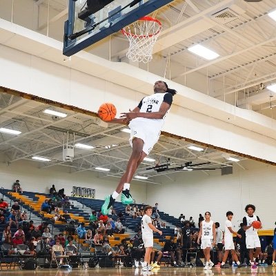 THS
c/o 2026, 6’5, 6’11 wingspan: contact me 651-332-9815 216928@isd622.org
- email