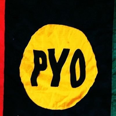 PPPSindh3's profile picture. PYO Sindh