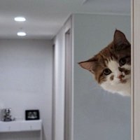 Hugo | Radius (@meveloper) 's Twitter Profile
