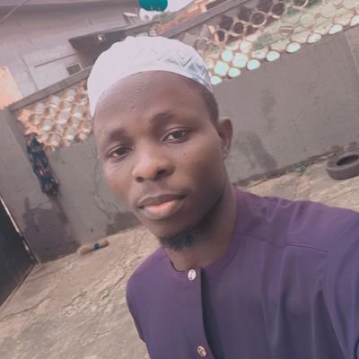 iamridwan_ola's profile picture. Results-Driven Innovator |  Economist | Graphics Designer | Video Editor