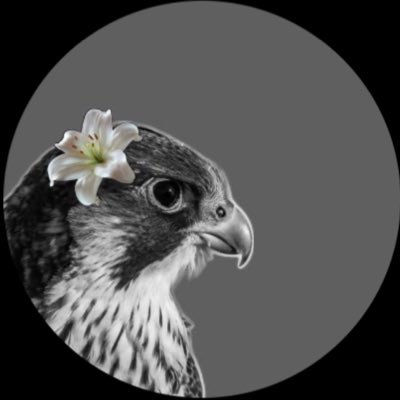 o5x3_'s profile picture. ˼ استغفر الله العظيم.