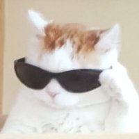 Dulguun B (@dgduk_dev) 's Twitter Profile