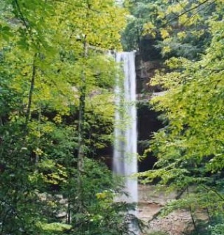 Di4President's profile picture. mengumpulkan follower agar Dahlan Iskan terpanggil jadi pemimpin kita!!  Sampaikan aspirasi anda. Tanpa janji tapi kita coba perbaiki.