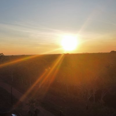 mshindmarsh's profile picture. 