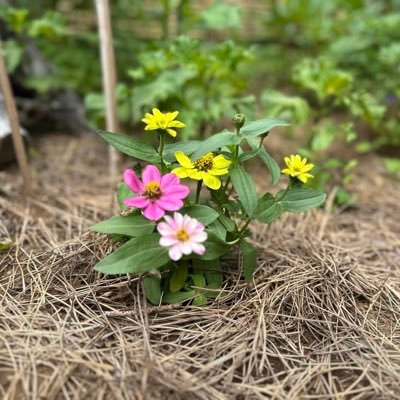 kanaima2016's profile picture. からだに良い食事