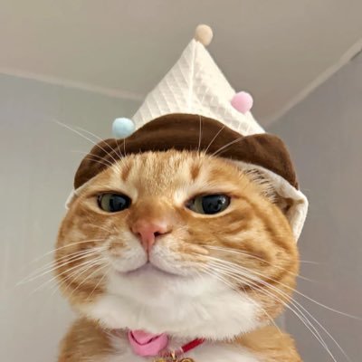 Psychology 🧠 Spirituality 🧘🏻♀️Philosophy 🔍 Cat 🐈 Part-time Saturdayss🪐 INFJ 🕊️