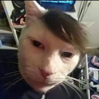 jek (@renjersbulao666) 's Twitter Profile