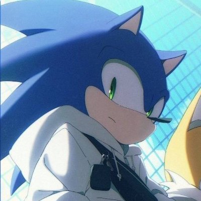 🇫🇷 / 20 / Sonic Fan and Content Creator / Terry Player on SF6 for @paleoflames / FMA Enjoyer / Pfp with @SamaTails / Private Account : @dash_pv17