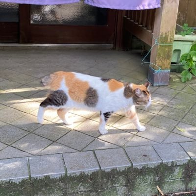 mabogyo's profile picture. 