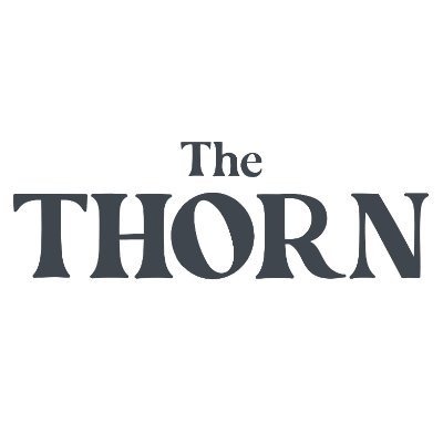 TheThornTheBand's profile picture. Formerly Large Plants. Psych folk band. No updates on here - please follow on the other platforms.