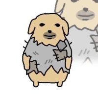 조(용한)개 (@lets_stak) 's Twitter Profile